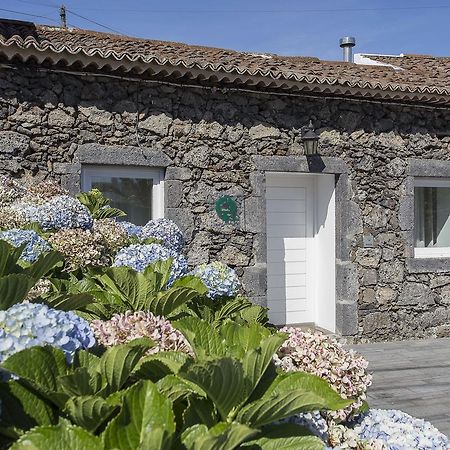Casa Do Campo - A Minha Casa Villa Capelas Exteriör bild